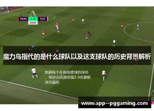 魔力鸟指代的是什么球队以及这支球队的历史背景解析