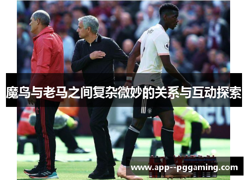 魔鸟与老马之间复杂微妙的关系与互动探索